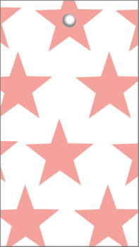 Papieranhänger Star - Little Paper